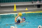 WWPolo vs CC  Wheaton College Women’s Water Polo compete in their sports inaugural match vs Connecticut College. - Photo By: KEITH NORDSTROM : Wheaton, water polo, inaugural